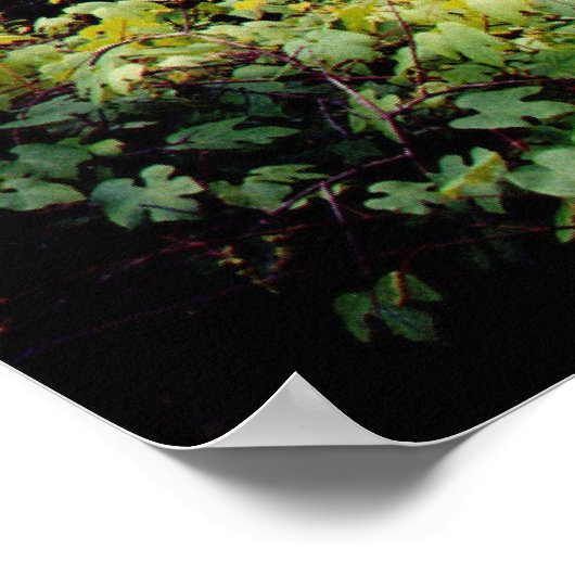 Poster En avant (Coin)