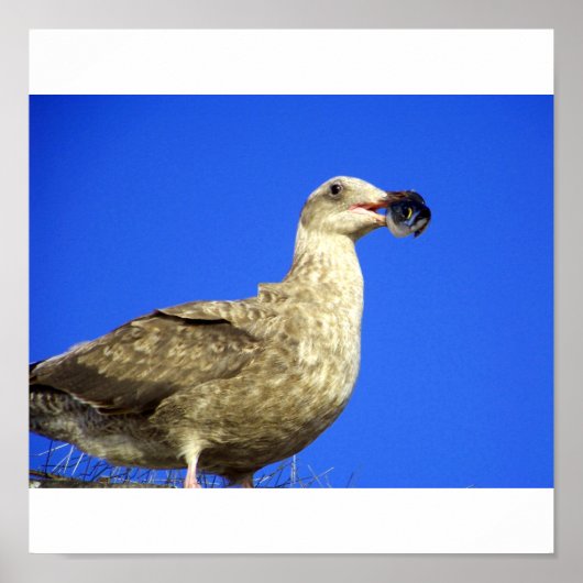 Poster En avoir (Devant)