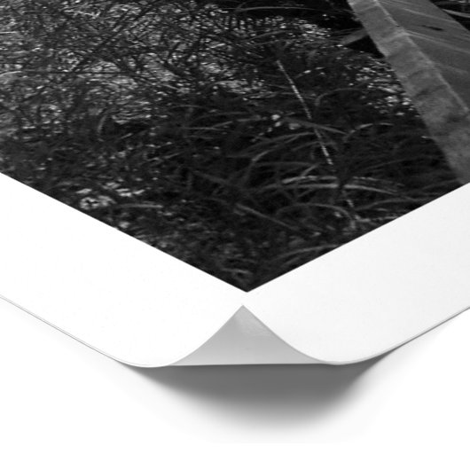 Poster En bas des marches (Coin)