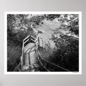 Poster En bas des marches (Devant)