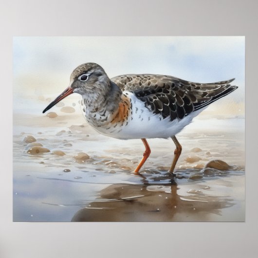 Poster en bécasseau tacheté Art pour oiseaux Impri (Devant)
