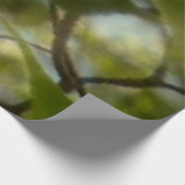 Poster En Bois Branche of Dogwood Blossoms Spring Trees (Coin)