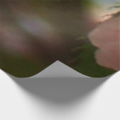 Poster En Bois Cherry Tree I Spring Floral (Coin)