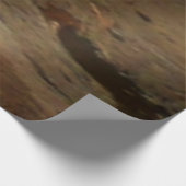 Poster En Bois Chutes d'Ohiopyle en Pennsylvanie (Coin)