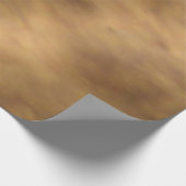 Poster En Bois Lions de la mer de San Diego (Coin)