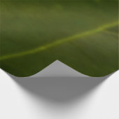 Poster En Bois Orange Hibiscus Fleur Tropical Floral (Coin)