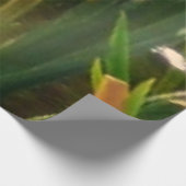 Poster En Bois Rangée de tortues Green Nature Photo (Coin)