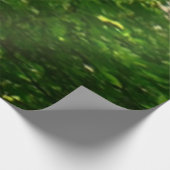 Poster En Bois Regard sur les arbres d'été (Coin)