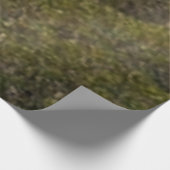 Poster En Bois Sierra Nevada Mountains II de Yosemite (Coin)