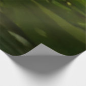 Poster En Bois Trafalgar Falls Tropical Rainforest Photographie (Coin)