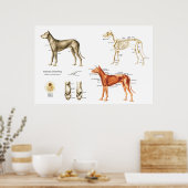 Poster en Botten (Keuken)