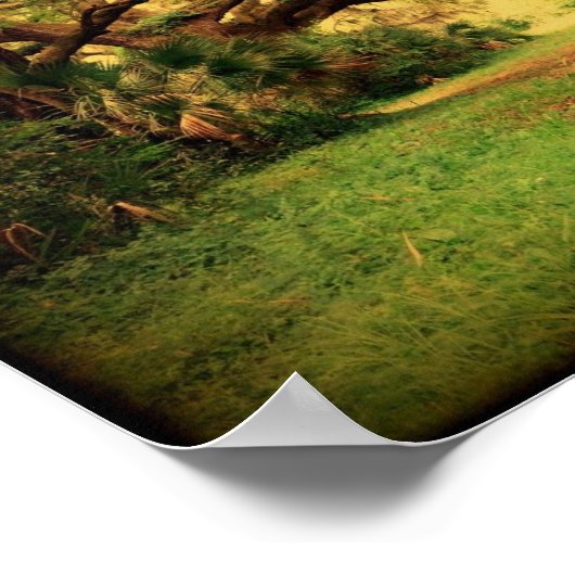 Poster en chêne en direct dans le pays bas (Coin)