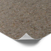 Poster en coquille de plage (Coin)