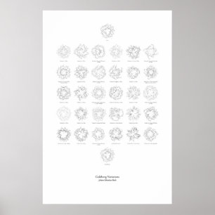 Poster En dehors du personnel : Variations Goldberg (sépa