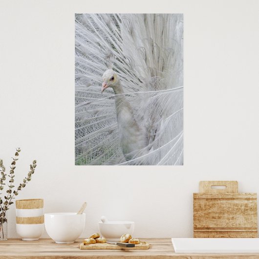 Poster en dentelle blanche (Cuisine)