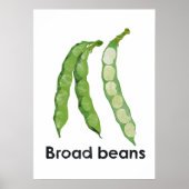 Poster En - Fèves larges (Devant)