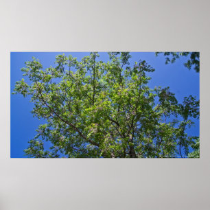 Poster en fleurs Chine