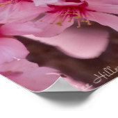 Poster en fleurs de cerisiers japonais rose (Coin)