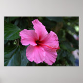 Poster En floraison (Devant)