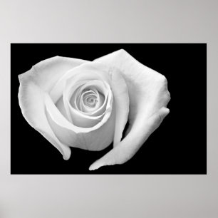 Poster En forme de coeur s'est levé, noir et blanc