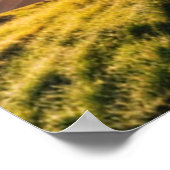 Poster En haut de l'affiche Grave (Coin)