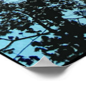 Poster En haut de l'arbre (Coin)