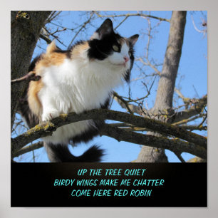 Poster En haut de l'arbre calme