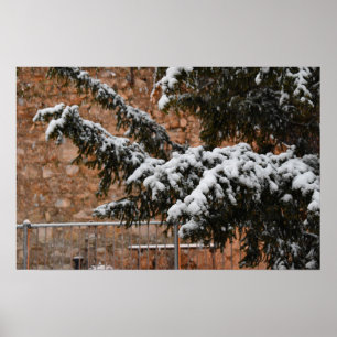 Poster En hiver, neige sur les arbres