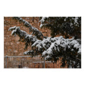 Poster En hiver, neige sur les arbres (Devant)