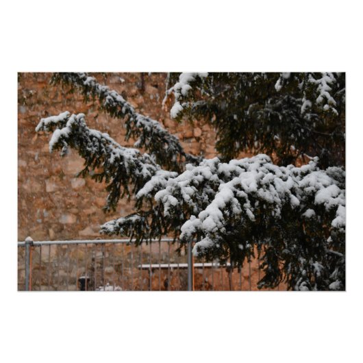 Poster En hiver, neige sur les arbres (Devant)