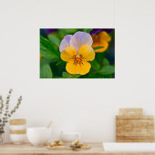 Poster en lavande et en sorbet orange (Cuisine)