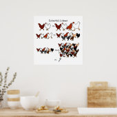 Poster en mathématiques de poulet (Cuisine)