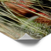 Poster en médecine tribale (Coin)