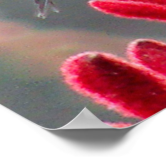 Poster En mouvement (Coin)