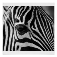 Poster en noir et blanc Zebra Head