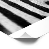 Poster en noir et blanc Zebra Head (Coin)