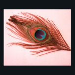 Poster en plume rouge Peacock<br><div class="desc">Une plume de paon aux tons rouges.</div>