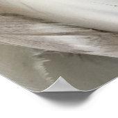 Poster en plumes blanches et noires (Coin)