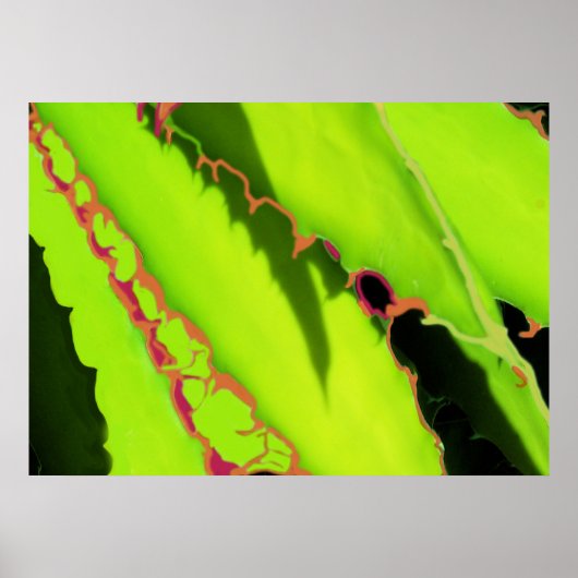 POSTER EN PRINTS (Voorkant)