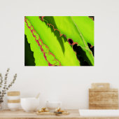 POSTER EN PRINTS (Keuken)