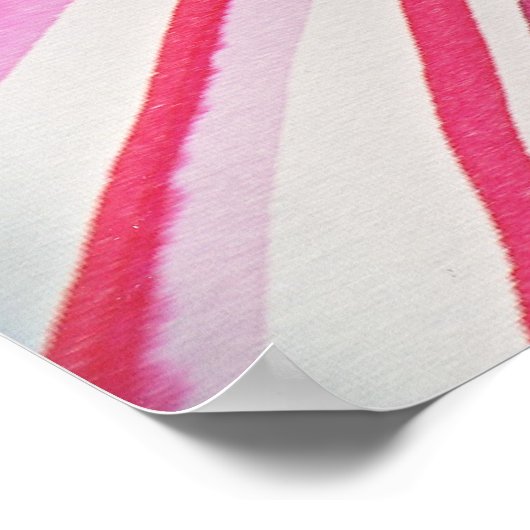 Poster en rose (Coin)