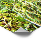 Poster en toile blanche (Coin)