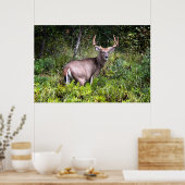 Poster en toile blanche (Cuisine)