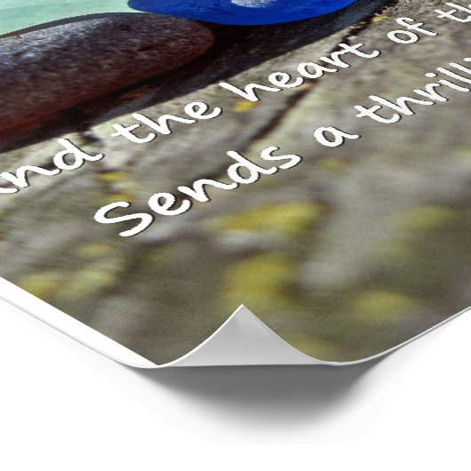 Poster en verre de mer - avec devis (Coin)