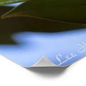 Poster en verre Stainverre Sky Southern Magnolia I (Coin)