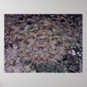 Poster En vue claire (Devant)