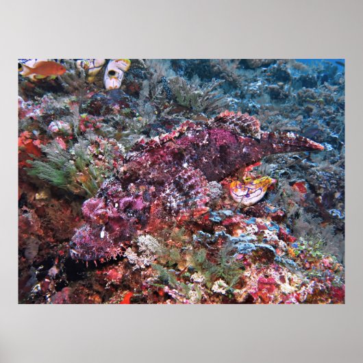 Poster En vue claire (Devant)