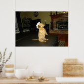 Poster encadré de Joli Dachshund (Cuisine)