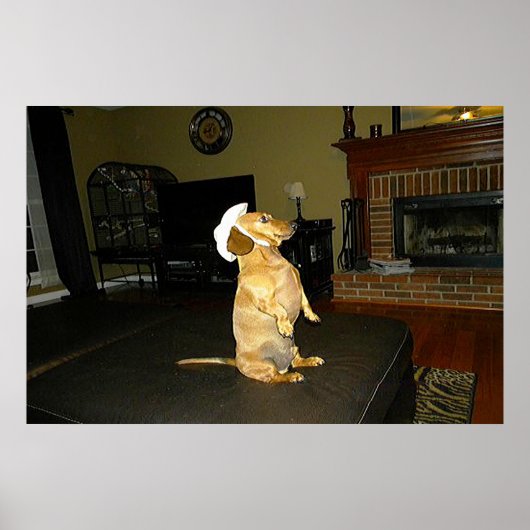 Poster encadré de Joli Dachshund (Devant)