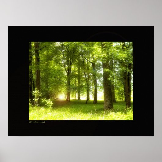 Poster enchanté (Devant)